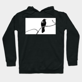 Blackbird Hoodie